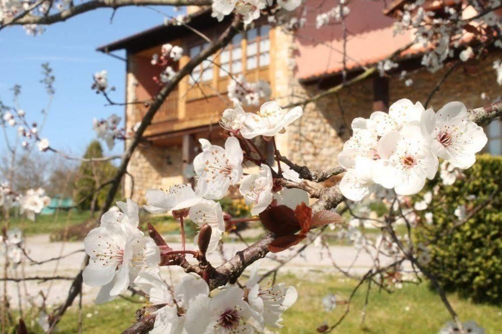 Bed and Breakfast Casa Torreteyera Villaviciosa  Esterno foto